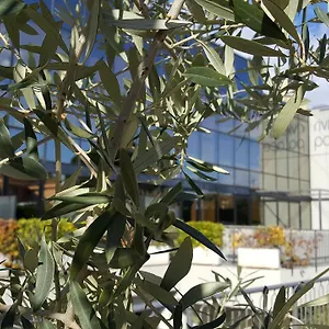 3* Aparthotel Riviera Palace