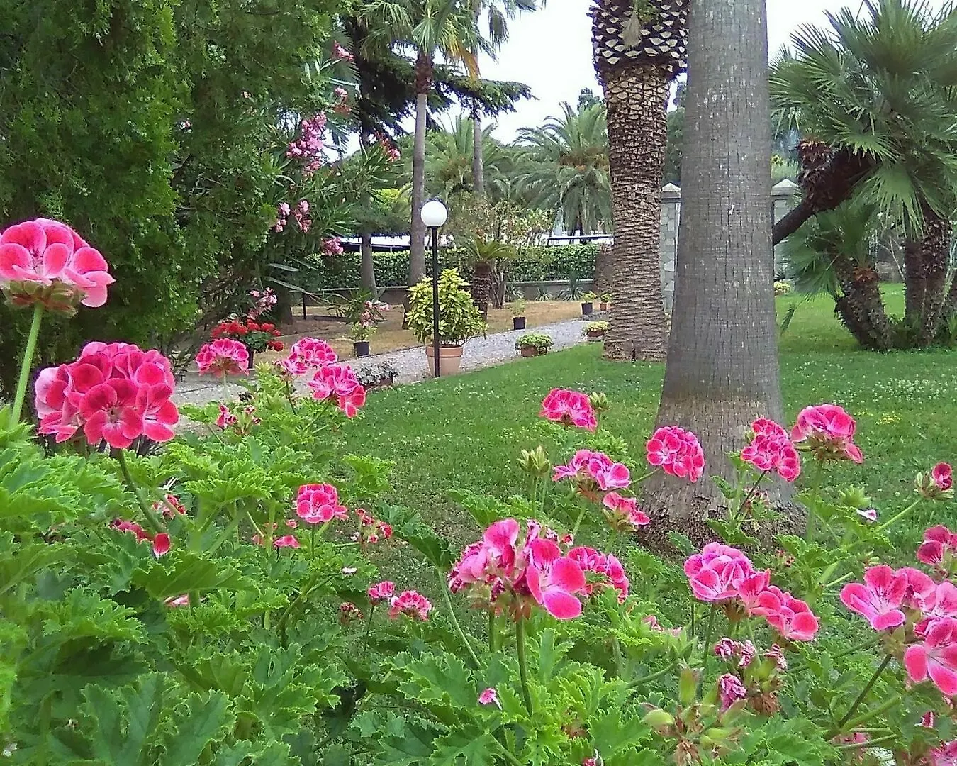 Villa Paola Loano Holiday home